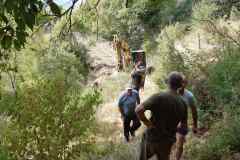 IMG-4501d055ed38dca79592cde7af523168-V