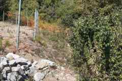 IMG-46e1deeadb4ca803380903a561c9badc-V