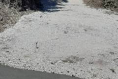 IMG-80ca97e0df79c7fb2e91c1d4bc79510c-V