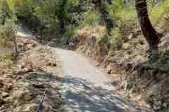 IMG-c1f17149488810ea9096daa10196d118-V