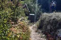IMG-e009ce779dc78a84cf159b54facee036-V