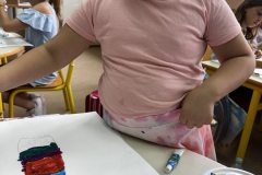 IMG-1eae25551d3c2cd9a6888da599784193-V