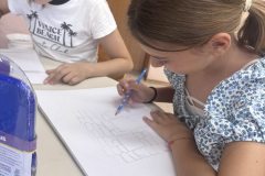 IMG-278f6c23c8329a03fd3442acdffe4313-V