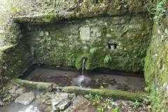 Točak-u-počevalaKunje
