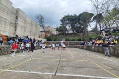 IMG-110fa01aff59a05ea236a666eae41757-V