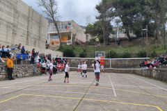 IMG-8b92a4aef6262fc33784bab8f5a6e182-V