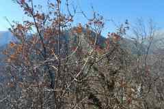 IMG-0a725453323f3cad69aa7ee519f5923d-V