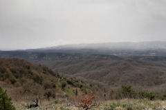 20200401_105848