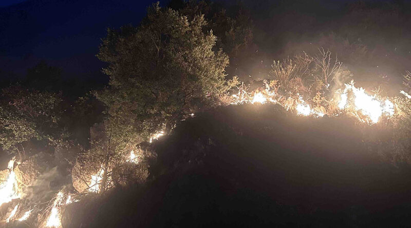 Vatrogasci i sinoć gasili požar na Lisinju